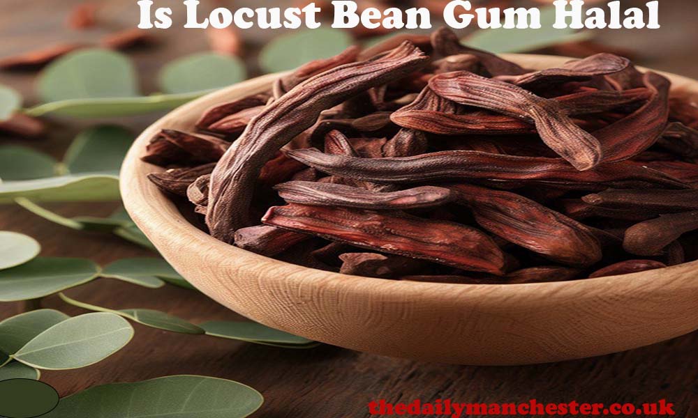 What is locust bean gum used for