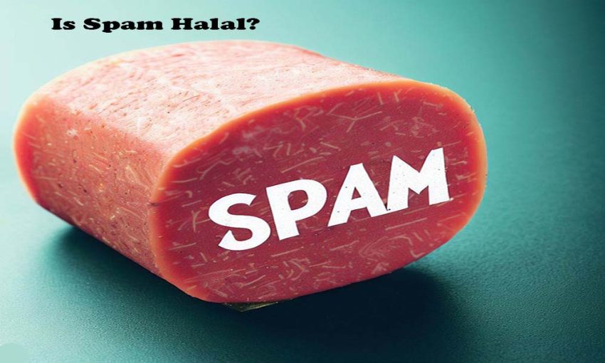Is Spam Halal