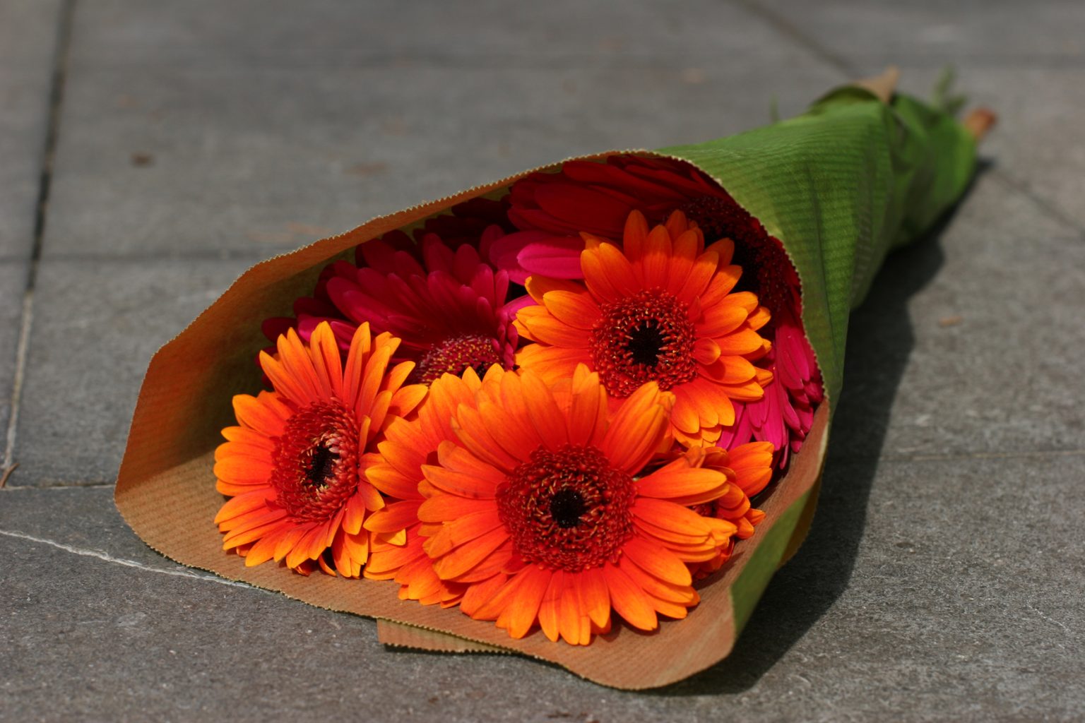 How Long Do Flowers Last Without Water? A Detailed Guide The Daily