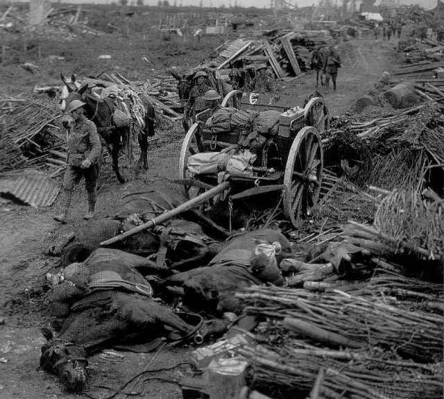 How Many Horses Died in World War II