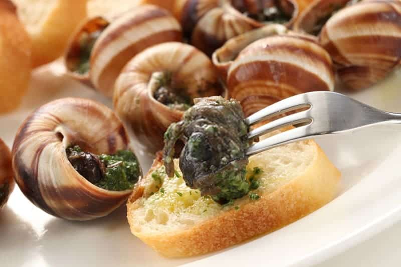 What Does Escargot Taste Like