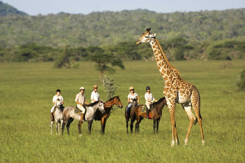 An Exciting and Unique Adventure: Horse Riding Safari