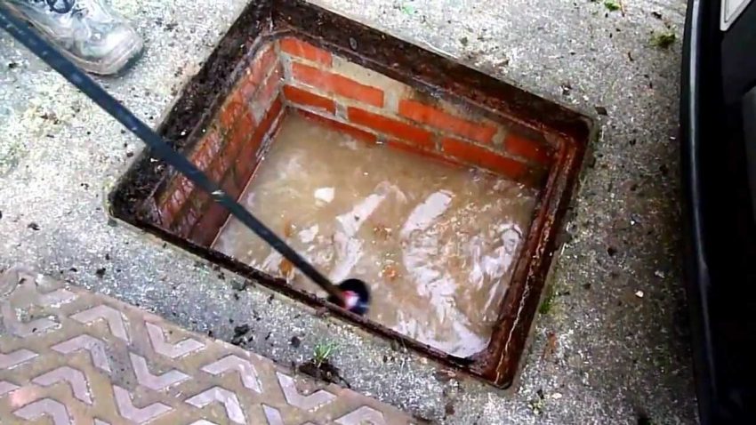 Understanding the Most Common Causes of Blocked Drains and How to Fix them in Molesey