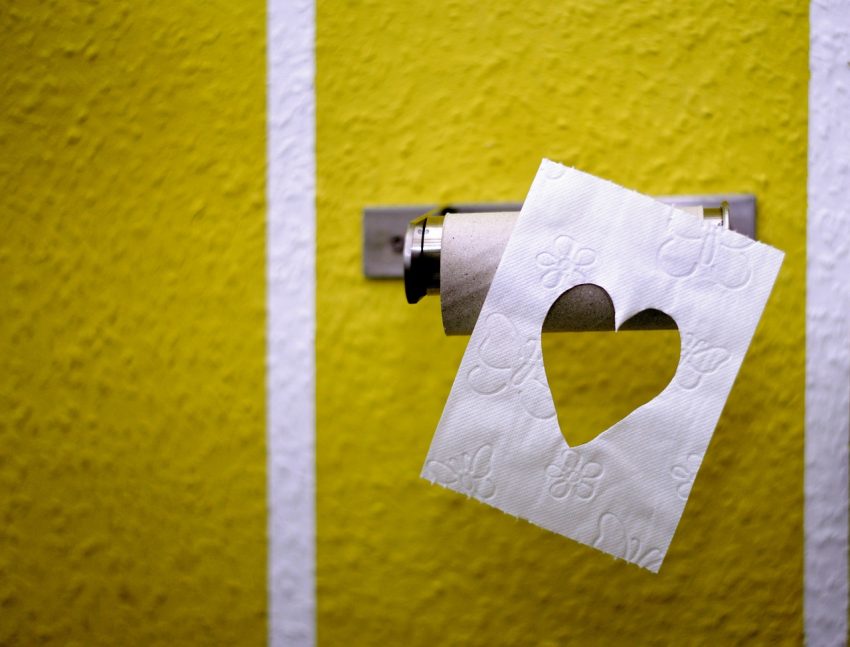 Exploring The Diverse Universe of Eco-Friendly Toilet Paper