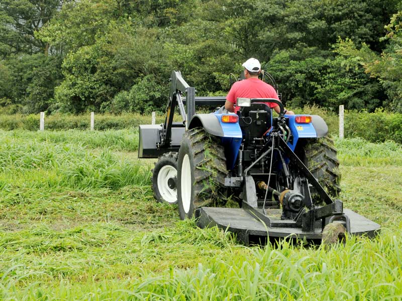 The Difficulties of Proper Bush Hogging