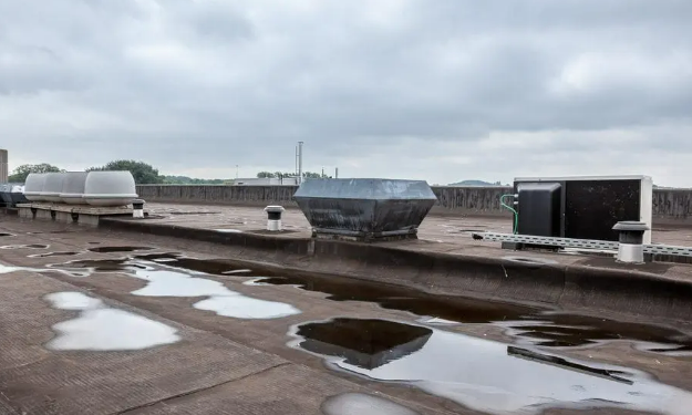 Unveiling Common Commercial Roofing Problems in St. Petersburg